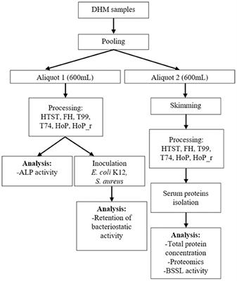 High-Temperature Short-Time Preserves Human Milk's Bioactive Proteins and Their Function Better Than <mark class="highlighted">Pasteurization</mark> Techniques With Long Processing Times